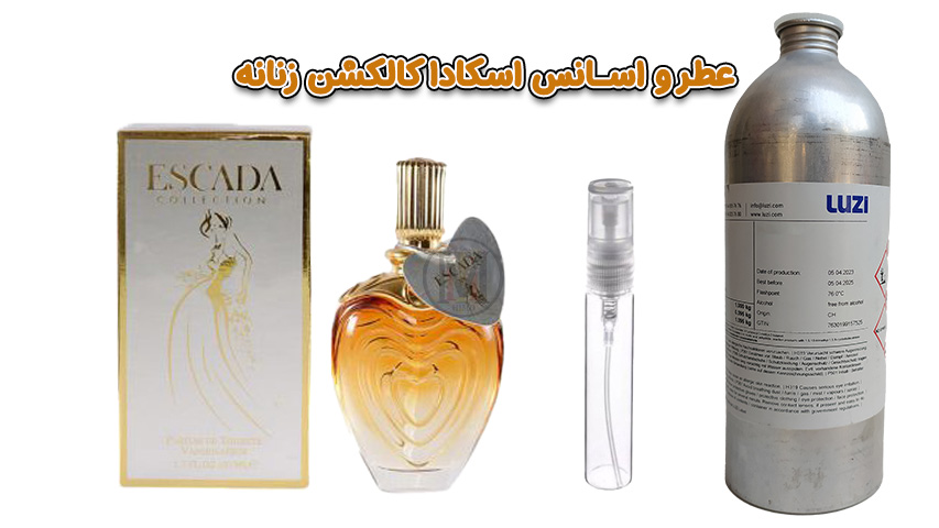 عطر-اسکادا-کالکشن-زنانه-همراهی-لطیف-و-دل‌انگیز